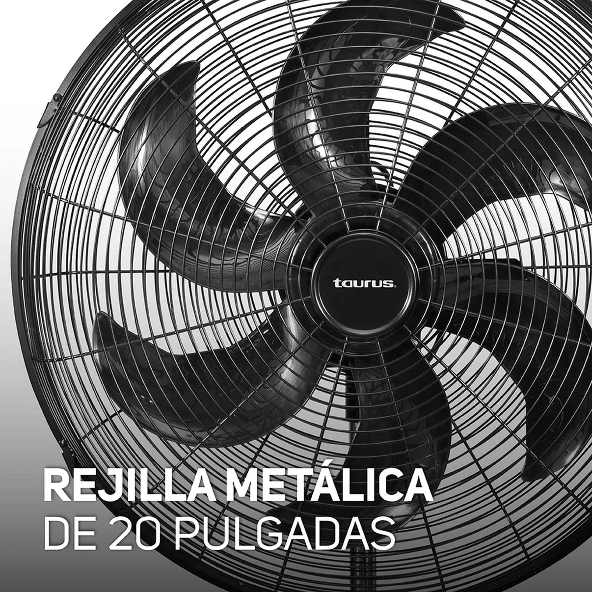 Ventilador Taurus AIR FORCE De Pedestal, 20